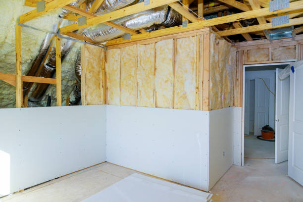 Best Cellulose Insulation in Breckenridge, MN