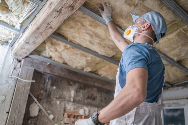 Best Insulation for Specific Applications in Breckenridge, MN